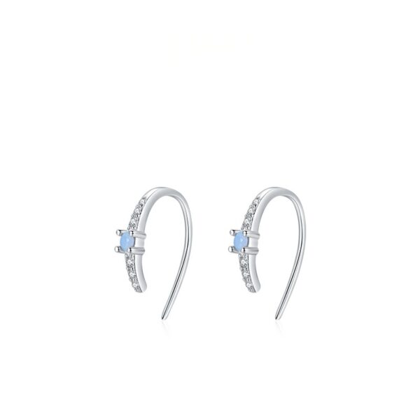 Elegant Earring in Sterling Silver